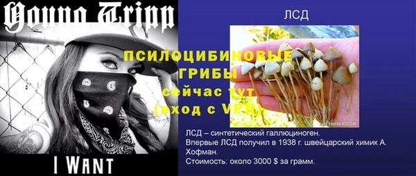 гидропоника Алзамай
