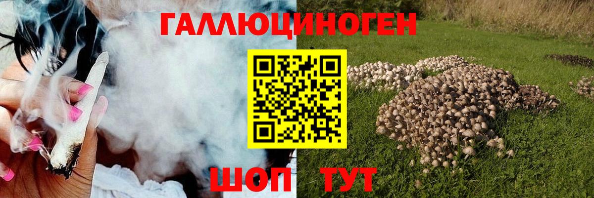 дарнет шоп  Галлюциногенные грибы Magic Shrooms  Псилоцибиновые грибы мухоморы  Вход с VPN  Усинск 